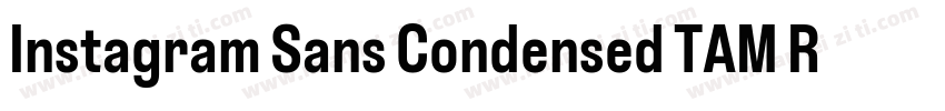 Instagram Sans Condensed TAM Regula字体转换
